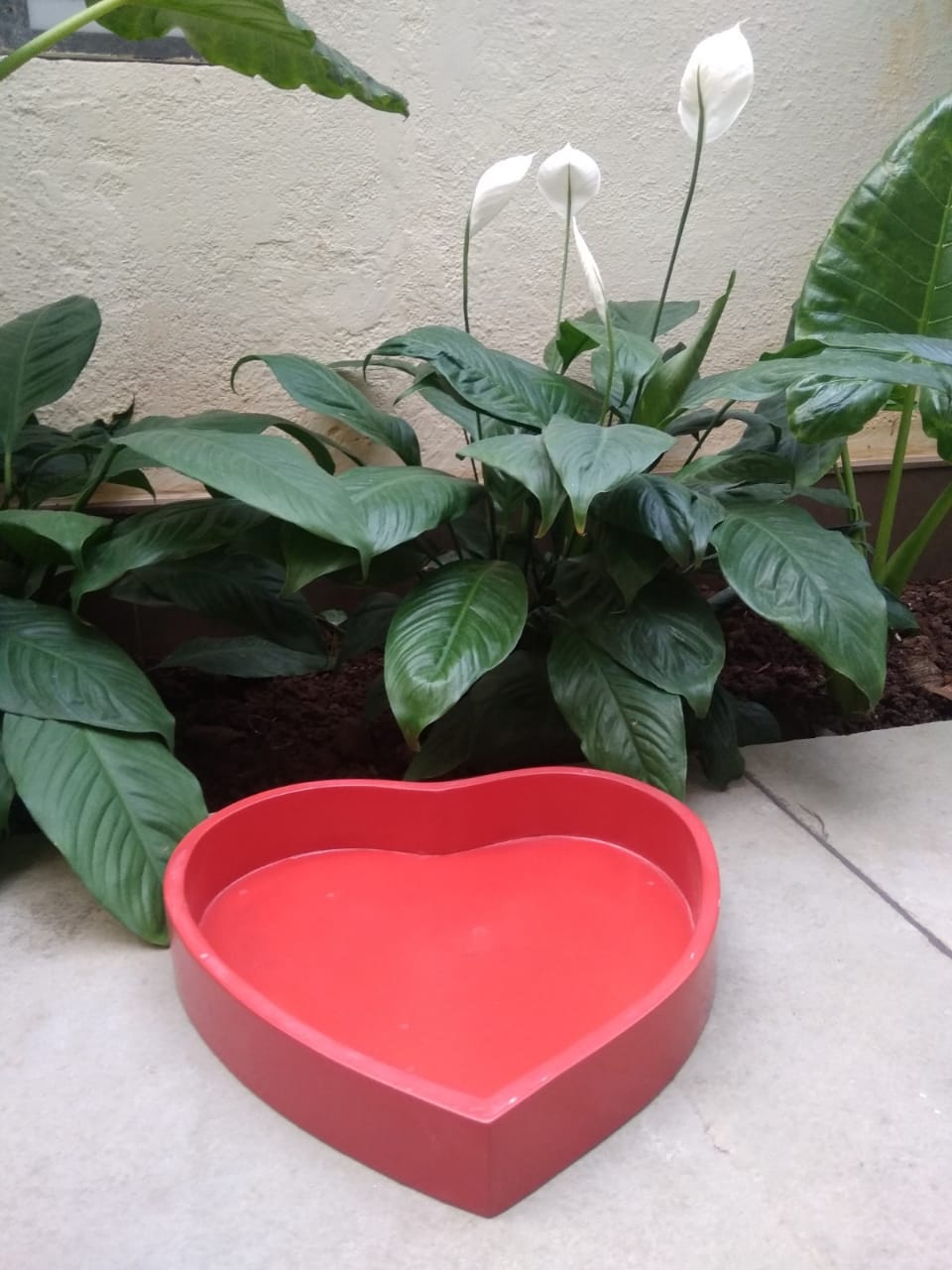 Heart Shape Tray