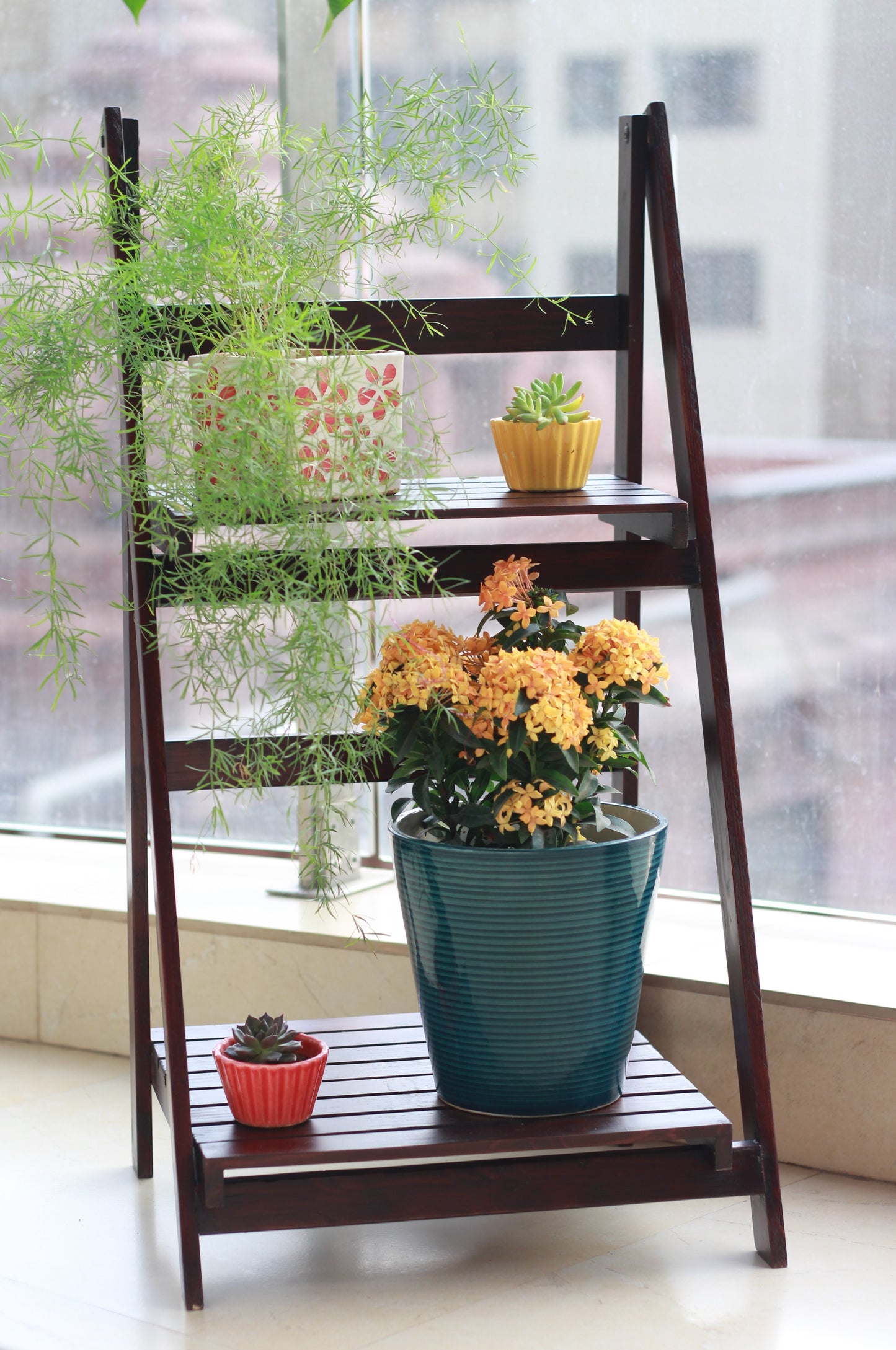 Garden ladder